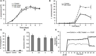 Endocytosis and Exocytosis in Leishmania amazonensis Are Modulated by Bromoenol Lactone